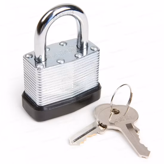 Candado laminado de seguridad de acero resistente a la corrosión de 30 mm a 65 mm de Master Lock a prueba de agua